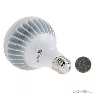 LED Bulb Light  color temperature adjustable UL e14 5000 lumen System 1