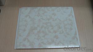PVC Panels for Decoration, Printed Designs