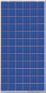 310W  Poly solar Panel Medium Solar Panel Factory Directly Sale CNBM System 1