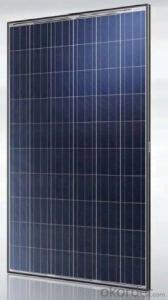 65W Poly Solar Panel for Homeowner Solar Panels - CNBM