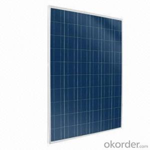 Polycrystalline solar Panel with Factory Price High Efficiency CNBM