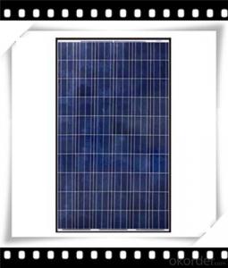 250W Poly solar Panel Medium Solar Panel Newest Solar Panel CNBM System 1