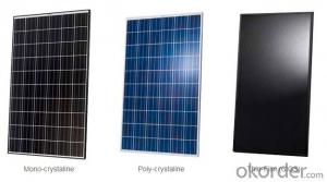 240W  Poly solar Panel with 25 Years Warranty CNBM
