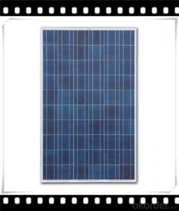 300W Poly solar Panel Mediuml Solar Panel Manufacturer in China CNBM System 1
