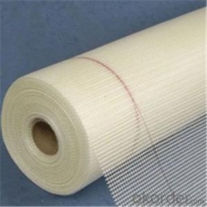 Fiberglass Mesh Alkali-resistant Fabric 50g System 1