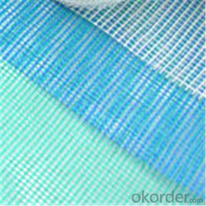 Fiberglass Mesh Alkali-resistant Fabric 40g System 1