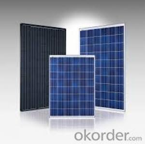 Factory Directly Sale Polycrystalline solar Panel with High Quality CNBM