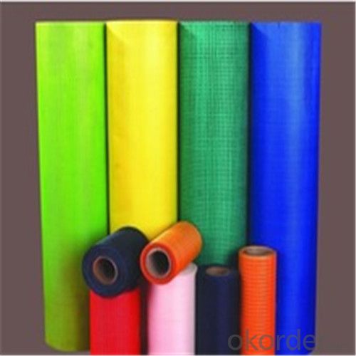 Fiberglass Mesh Alkali-resistant Fabric 100g System 1