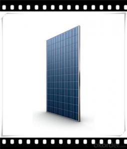 240W Poly solar Panel Medium Solar Panel Newest Solar Panel CNBM System 1