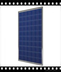 250W Poly solar Panel Mediuml Solar Panel Hot Selling Solar Panel CNBM System 1