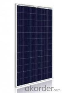 235W  Poly solar Panel with Factory Directly Sale CNBM