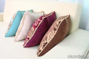 Square Pillow Cushion Case with Velvet and Good Quality System 1