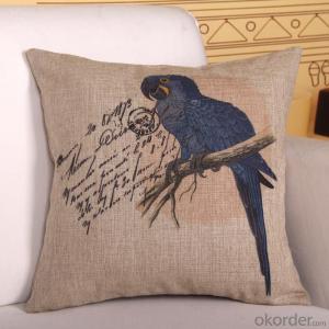 Cheap Square Pillow with Digital Printing 2015 New Bird Design