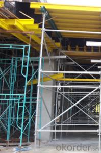 Ring Locked Scaffolding with Professional System for Construction