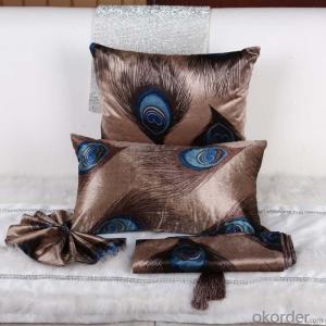Luxury Square Pillow with Velvet and Grade A Quality  from China Factory System 1