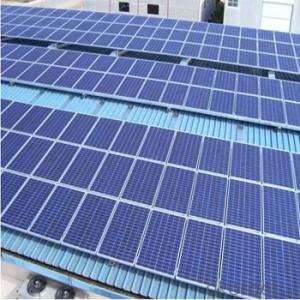 Polycrystalline Solar Panels for 255W Series