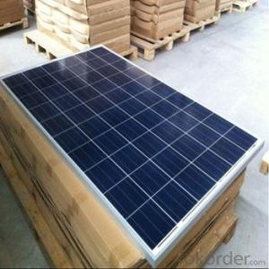 Polycrystalline Solar Panels for 245W Series
