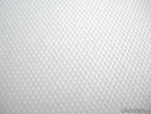 Waterproof Polyester Spunbond Nonwoven Fabric Made in China
