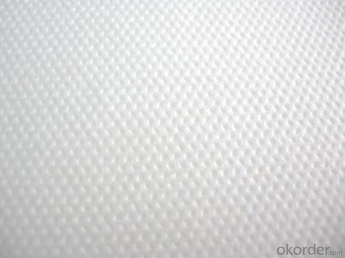 Waterproof Polyester Spunbond Nonwoven Fabric Made in China System 1