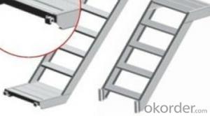 Facade Scaffolding System-Aluminium Scaffold Ladder CNBM