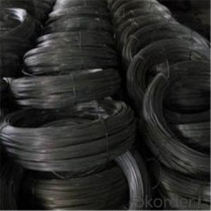 Black Annealed  Iron Wire /Binding Wire for Building Factory Direct Price