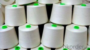 Nylon 6 Filament Yarn Raw White Color for Sock System 1