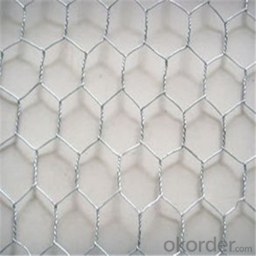 Hexagonal Wire Netting Galvanized /PVC Coated with Good Quality