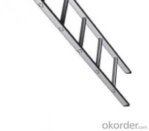 Scaffolding System-Aluminium Platform with ladder CNBM