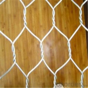 Hexagonal Wire Netting Galvanized /PVC Coated with Good Quality