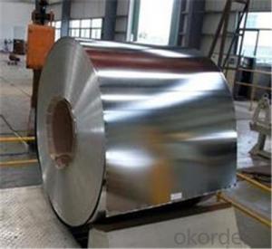 Cold Rolled Steel Coil/Plates with High Quality from CNBM