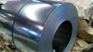 Galvanized/ Auzinc Steel -SGCC in China from CNBM System 1