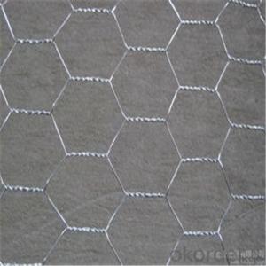 Hexagonal Wire Mesh Galvanized and PVC Coated with Good Quality