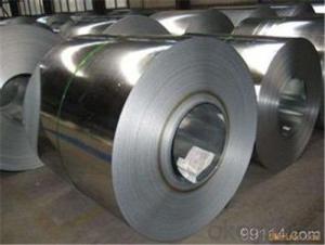 Cold  rolled Steel Coil/Plates with high Quality from CNBM System 1