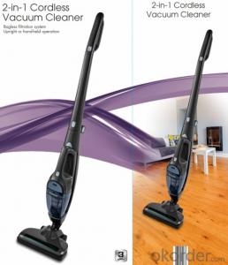 Cyclonic Vacuum Cleaner Cordless rechargeable 2 in 1 Upright Wet and Dry