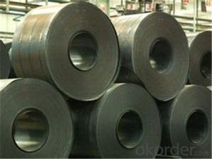 Hot Rolled Steel Coil-SAE1006 in Good Quality in China System 1