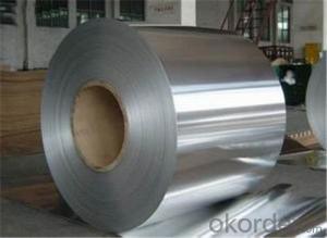 Cold Rolled Steel Coil/Plates with High Quality from China System 1