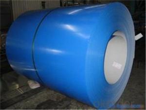 Prepainted Galvanized Rolled Steel Coil/Sheet from CNBM