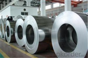 Rolled Steel Coil/Plates with High Quality from CNBM System 1