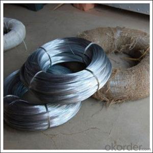 Galvanized Welded Wire Mesh with High Quality Factory Lower Price System 1