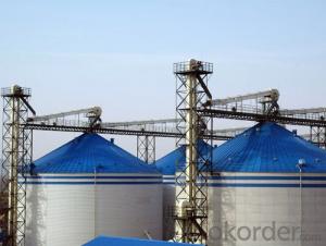 Grain Storage System Wheat Steel Silo Storage