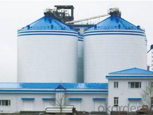 Grain Storage Steel Bins from 5000ton-15000tons