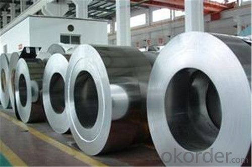 Hot Rolled Steel Coil / Sheet / Plate-SPCC in CNBM from China