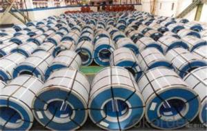 Hot Rolled Steel Coil-SAE1006 in Good Quality in CNBM