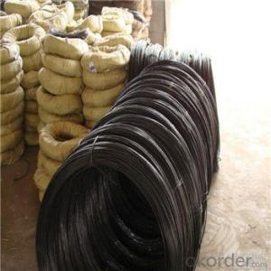 Black Annealed  Iron Wire /Binding Tie Wire With Factory Direct Price System 1
