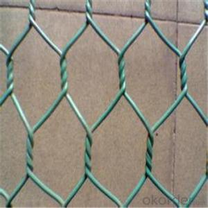 Hexagonal Wire Mesh Galvanized /PVC Coated Good Quality Best Seller Fence System 1