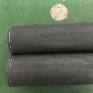 Fiberglass Insect Screen Mesh with personalized sizes