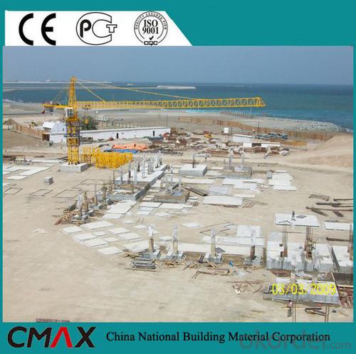 12T Construction Crane with CE Certificate System 1