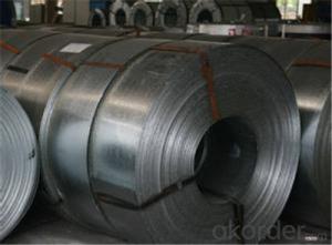 Rolled Steel Sheet / Plate in CNBM from China System 1