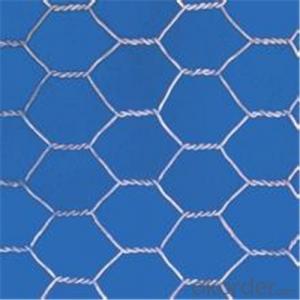 Hexagonal Wire Netting H.D and Electro Galvanized /PVC Coated with Good Quality System 1