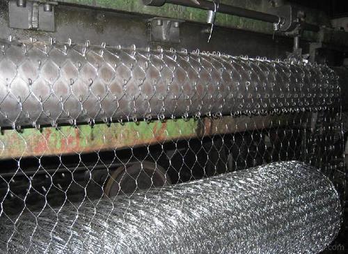 Hot dipped Galvanized Hexagonal Wire Netting System 1